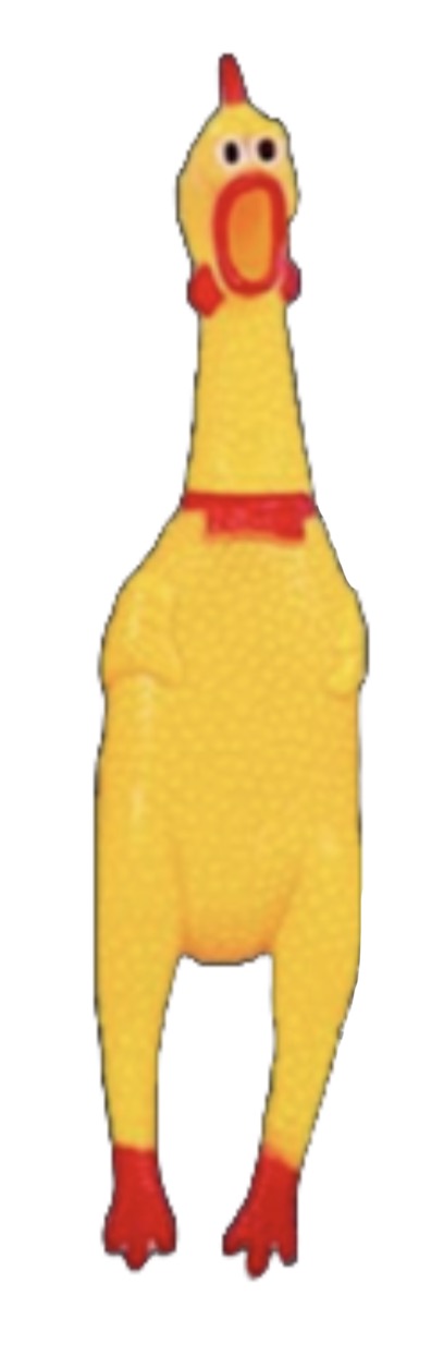 Pollo