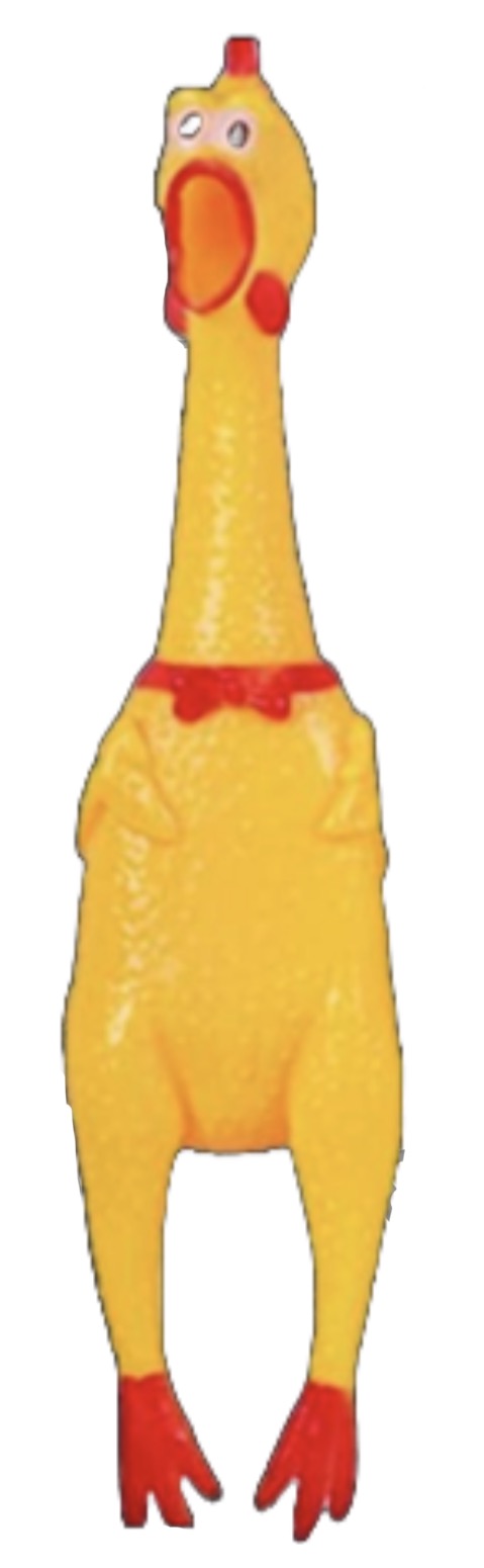 Pollo